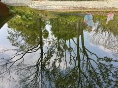 -云溪植物园