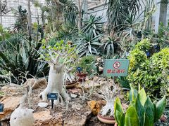 -国家植物园南园