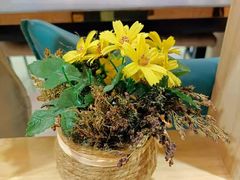 -61度辣馆(通天街店)