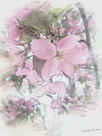 -长春公园(普阳街道)