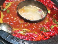 -渝大狮毛肚老火锅(普陀店)