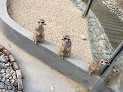 -呀路古热带植物园