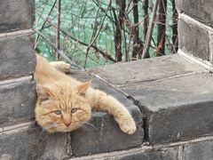 -司马台长城