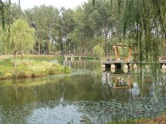-东郊湿地公园