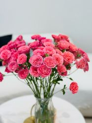 -WENDY·温迪皮肤管理