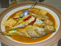 四季鲜鱼一锅出-船歌·鱼水饺青岛菜(金狮广场店)
