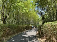 -天目湖涵田度假村