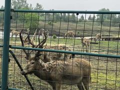 -溱湖国家湿地公园