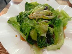 -东鸽皇(奥园·中环广场店)