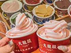 -大龙燚火锅