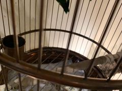 -小厨娘淮扬菜(六合欢乐港店)