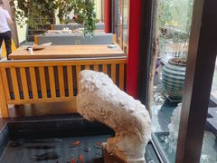 -旅马餐厅(茅家埠店)