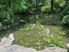 -广西壮族自治区药用植物园