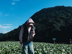 -广州市石门国家森林公园
