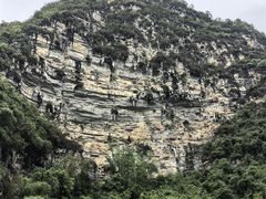 -明仕田园