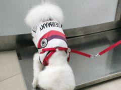 -爱侣宠医·鹦鹉专科·小型哺乳类·异宠专科(灵石路店)