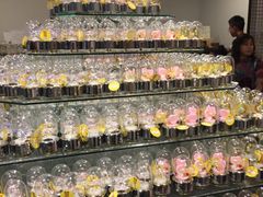 -小樽八音盒堂(手工制作体验馆店)