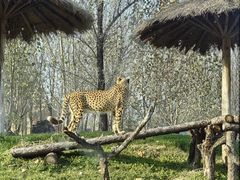 -北京野生动物园
