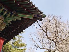-潭柘寺景区