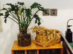 -灶咖KITCHEN