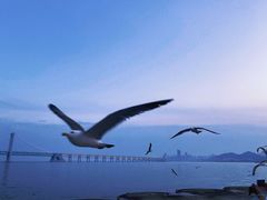 -星海广场