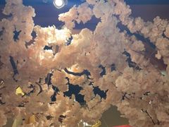 -三月居酒屋(青年大街店)