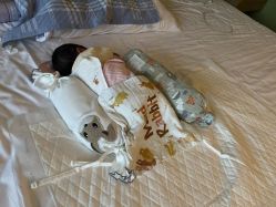 -添禧月子会所(高新店)