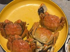 -一绪に寿喜烧(虹悦城店)