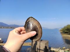 -东梓关景区村庄