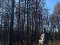 -莫尔道嘎国家森林公园