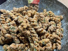 蒜蓉枝-海丝金凤(金鱼店)