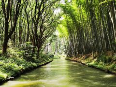 -同里国家湿地公园