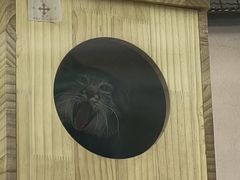 -青藏高原野生动物园