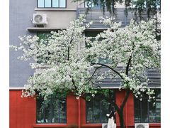 -四川大学(望江校区)