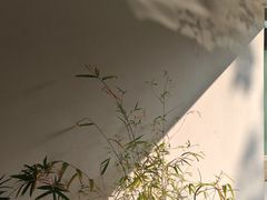 -吴作人艺术馆