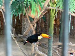 -北京野生动物园