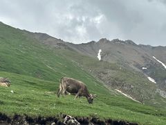 -新疆那拉提国家旅游度假区