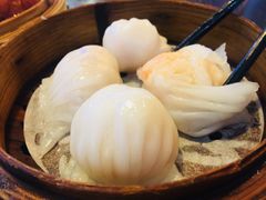 招牌虾饺皇-添运来(茶园奥园广场店)