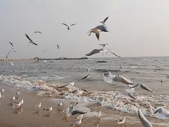 -老虎石海上公园