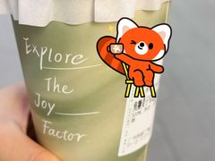 -宝藏绿洲(扬韬广场店)