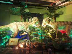 -恐龙探索乐园(磁器口店)