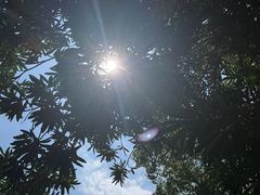 -苏州独墅湖世尊酒店