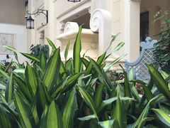 -利顺德大饭店·维多利亚花园(小白楼店)