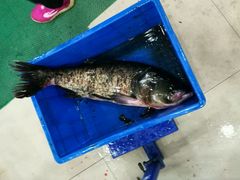 -雪野鱼头大王邢府公老店(雪野湖店)