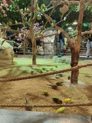 -酷嗒动物文化乐园(cutezoo西溪乐天城店)