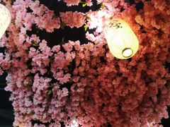 -厚道寿喜烧専門店(宝龙环湖店)