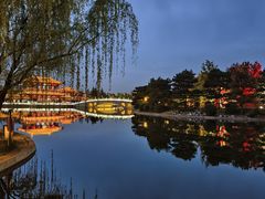 -唐御宴•御宴宫•唐代菜点(芙蓉西路店)