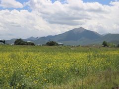 -扁都口生态休闲旅游区