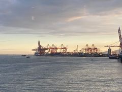 -招商蛇口邮轮母港(观光客运)