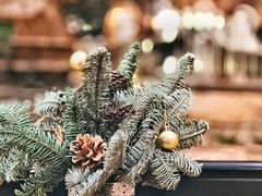 -潮一不贰·法式甜品·生日蛋糕·西式简餐(外滩店)